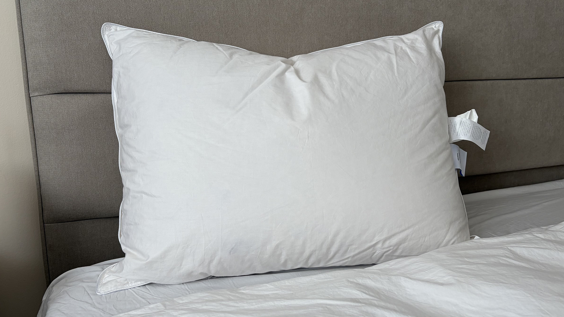 The Downright Mackenza WD pillow on the bed in our reviewer's bedroom