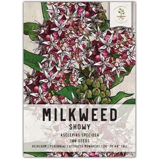 Showy Milkweed Seeds