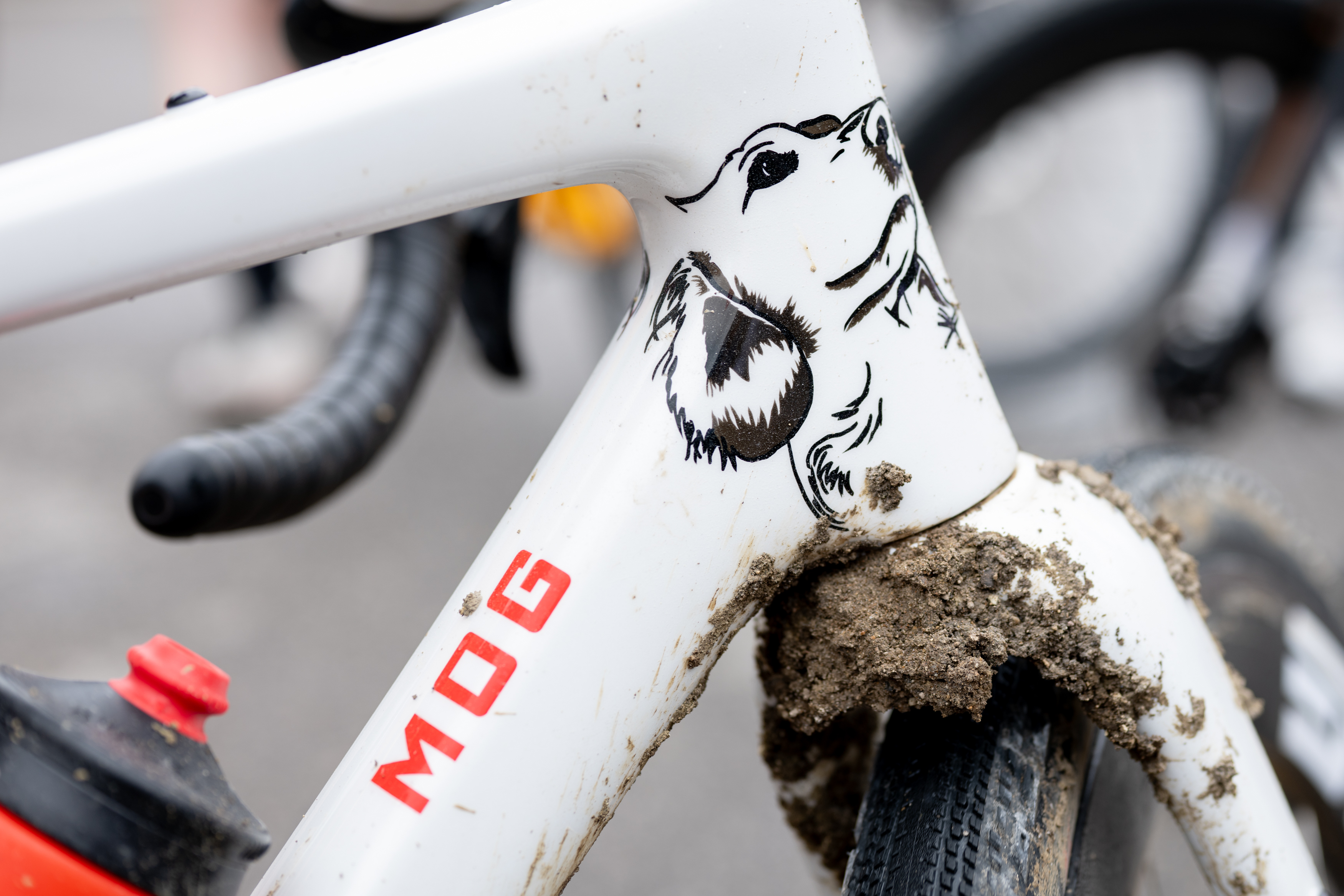 Alexey Vermeulen's custom painted Enve Mog dog bike for Unbound Gravel 