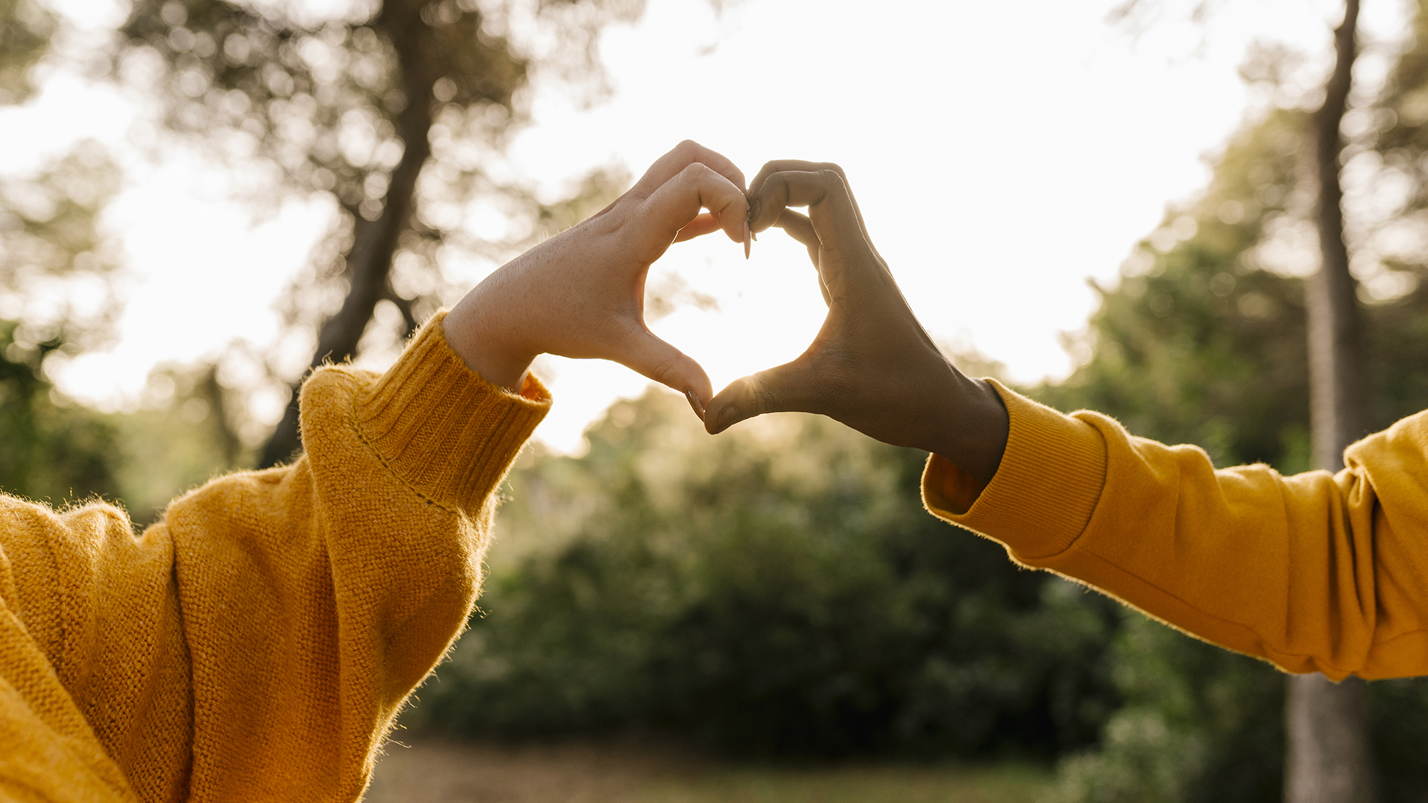 The Good News Newsletter