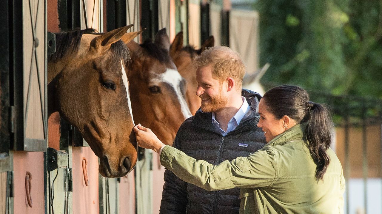 Meghan Markle, Prince Harry