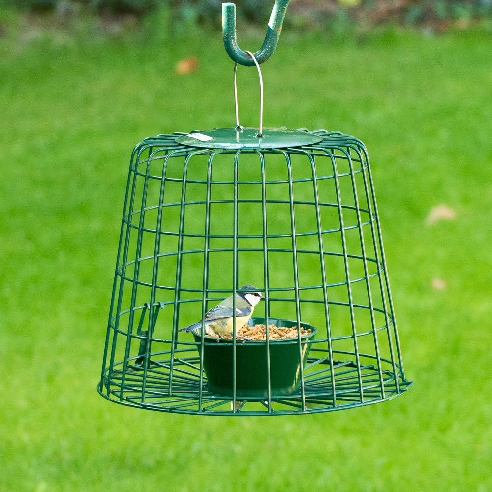 Guardian Caged Mealworm &amp;amp; Suet Pellet Feeder