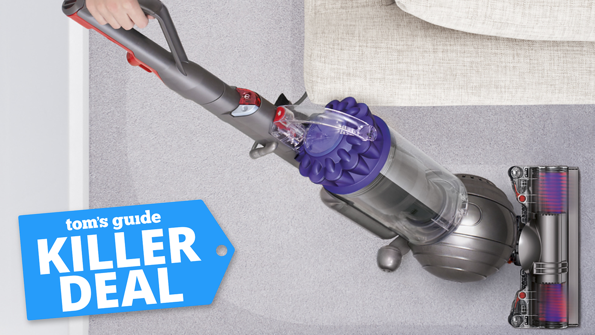 Dyson Ball Animal Upright Vacuum deal