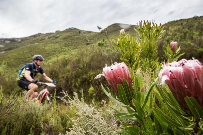 The Scenic landscape of stage 1