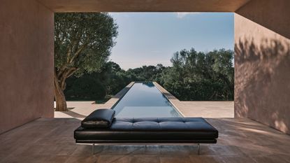 furniture arranged across minimalist interior