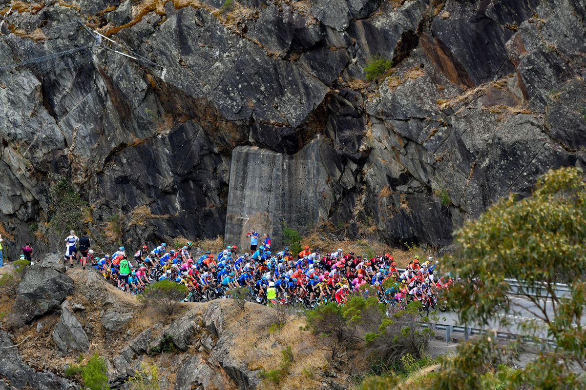 The Tour Down Under peloton