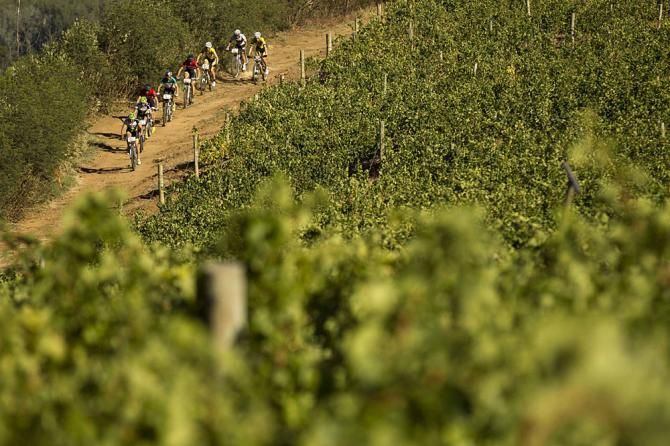 The lead bunch during the final stage