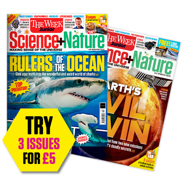 Science+Nature magazine covers