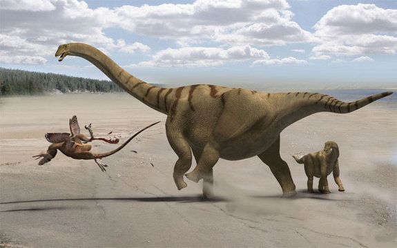 This life restoration shows the adult Brontomerus as a mother, protecting her baby from a predator by using her powerful thigh muscles to deliver a devastating kick. 