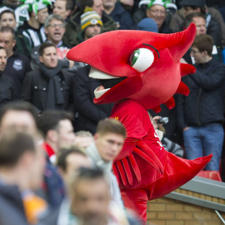 this-seasons-premier-league-mascots-ranked-2-1556679150-aHli-column-width-inline