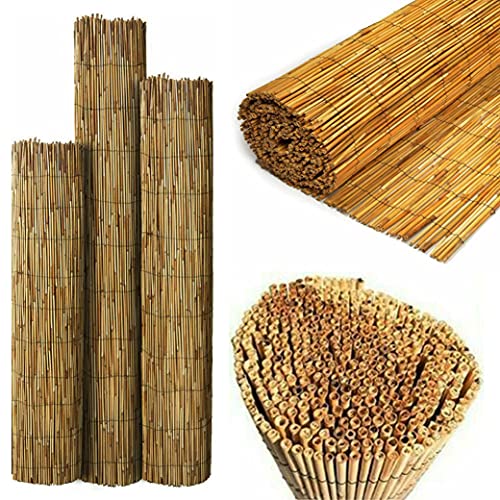 Sasons&amp;reg; Quality Garden Natural Peeled Reed Fence Screen Roll Panel Best for Outdoor Privacy, Fencing Screening Wooden Fence Walls Sun/wind Protection [ 1.2 X 4 Meter ]