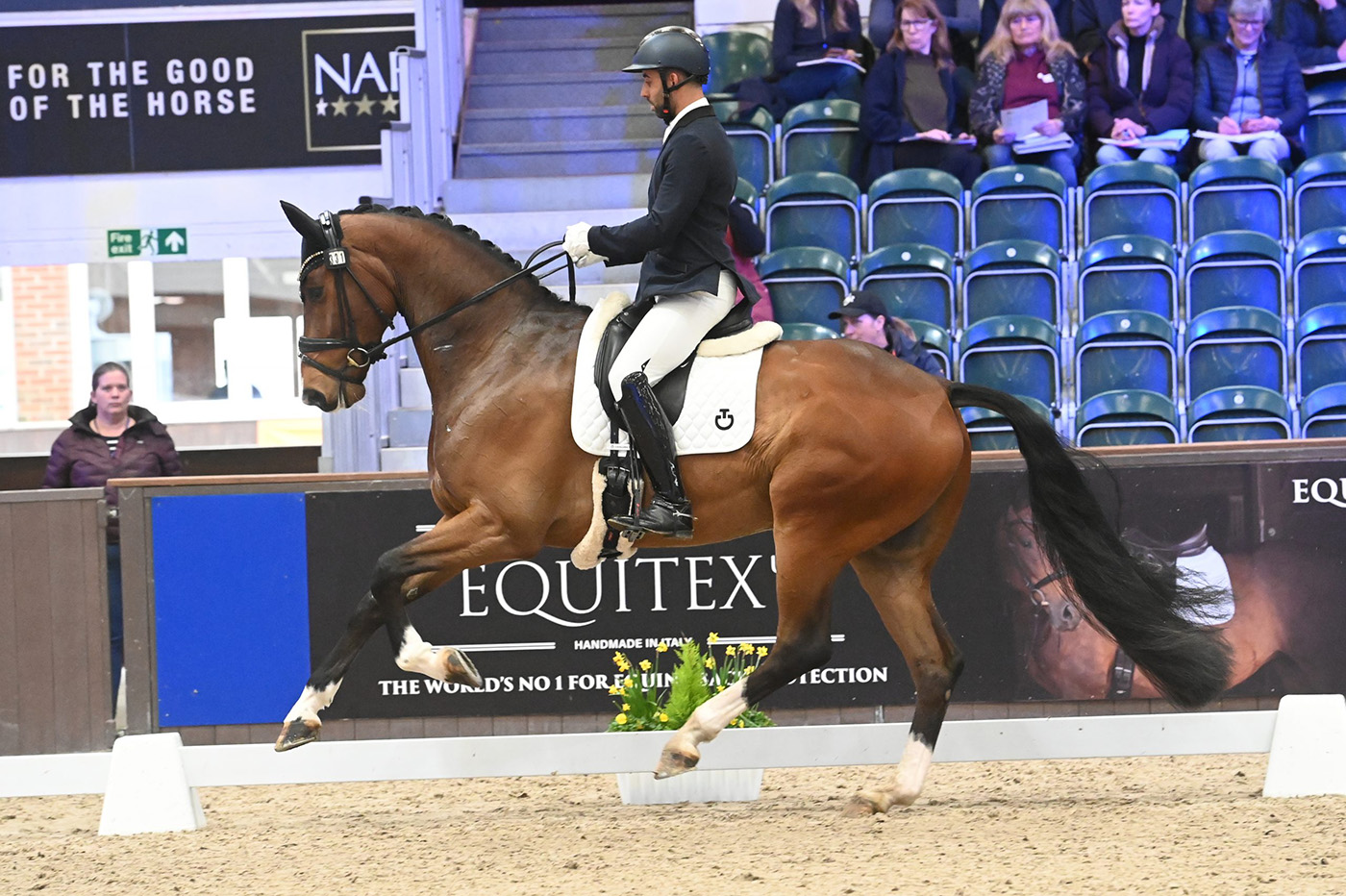 Dannie Morgan and Fever Tree at the 2024 NAF Five Star Winter Dressage Championships.