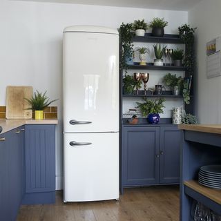 blue kitchen with white fridge, open shelves and wooden floors