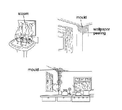 condensationandwindows.gif