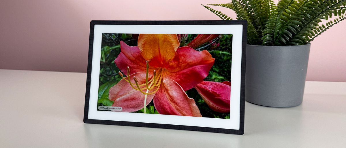 An image of a brightly colored pink and orange rhododendron on the Pexar 11-inch Digital Picture Frame in horizontal orientation.