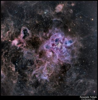 Tarantula Nebula by Fred Herrmann 