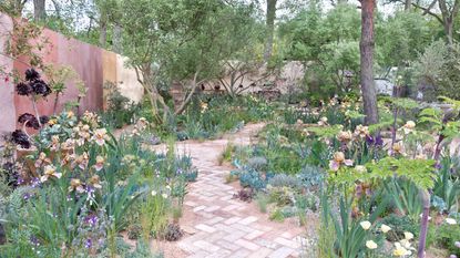 garden landscape design with staggered brick path and painted wall, with flowerbeds filled with bearded irises, ornamental grasses and succulents, plus container with black aeonium, and trees 