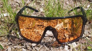 Madison Crypto glasses on a forest floor