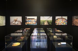 Standardization of the living, what is the limit? installation by Henk Wildschut, Food series, 2012-2013, at exhibition ‘Farmer designers, an art of living’ at Madd-Bordeaux Cultural season Ressources / Bordeaux 2021 © Rodolphe Escher