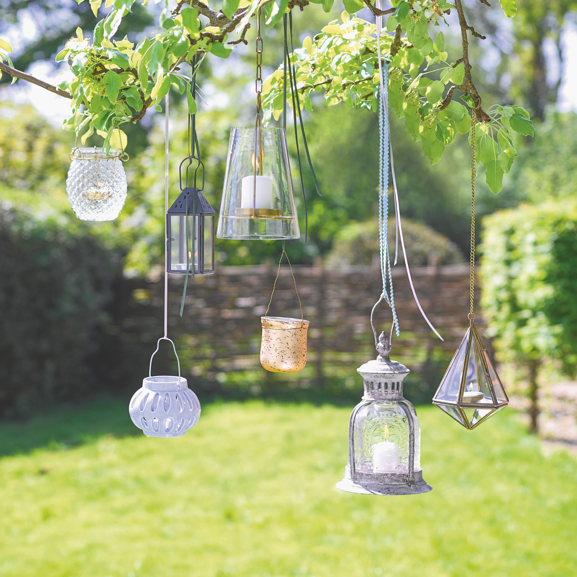 Lanterns hanging from a tree.