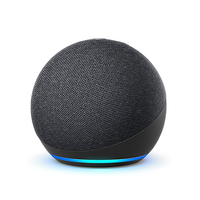 Echo Dot + 6mo Amazon Music Unlimited: £97