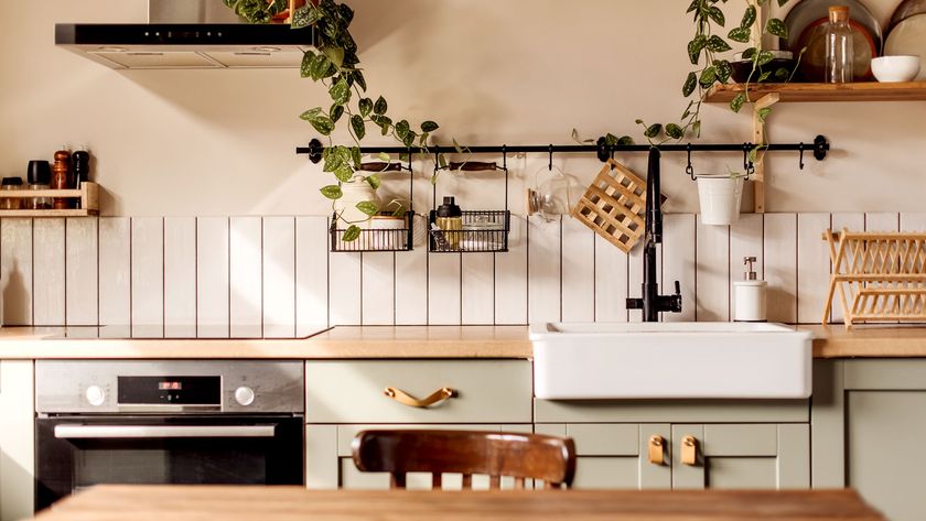 Contemporary cream kitchen with pastel green doors and wooden worktops