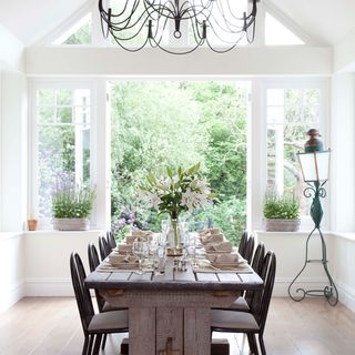 dining room with white coloured and potted plant leaves on dining table