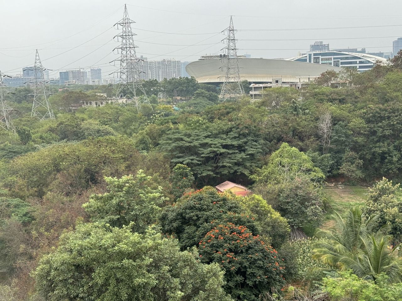 iPhone 15 Pro camera shots