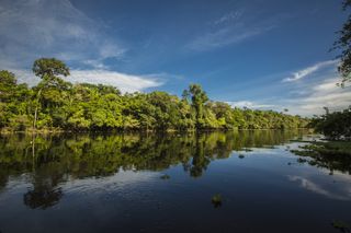 rainforest in Peru