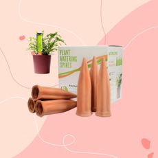 terracotta watering spikes on pink background