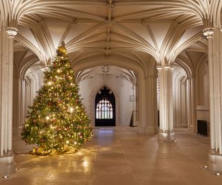 The tree in the inner hall at windsor