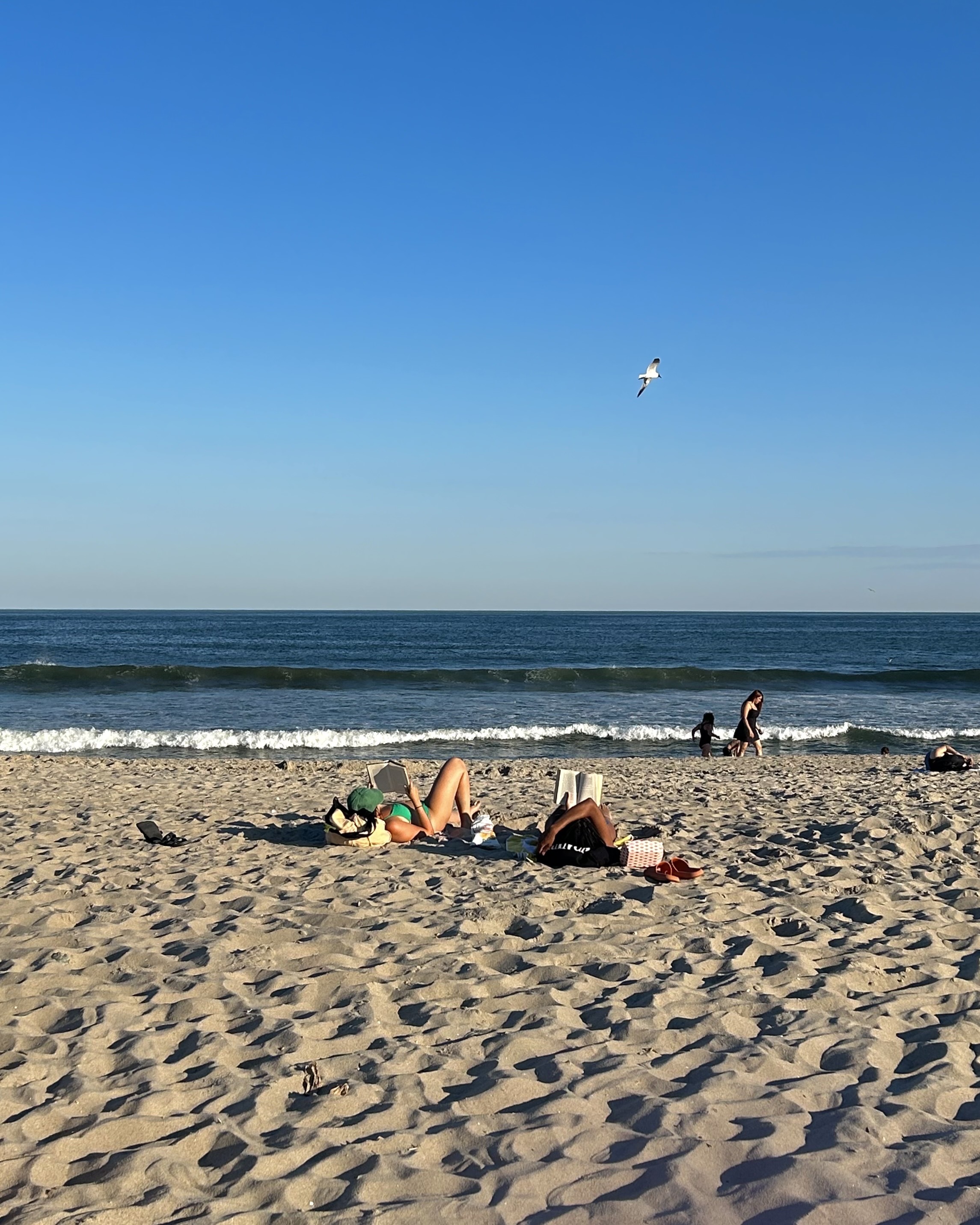 Image of people reading on the beach.