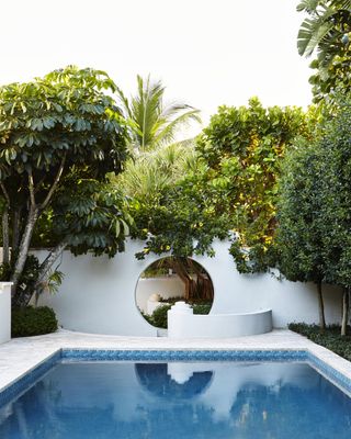 pool landscaping ideas: pool surrounded by white rendered wall and trees