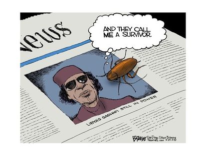 Gadhafi's competition