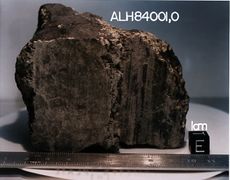 Allan Hills, Mars life