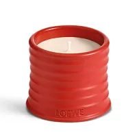 Loewe Tomato Leaves Candle | RRP: from £82 / $110