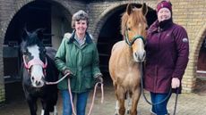 Riding-school1.jpeg