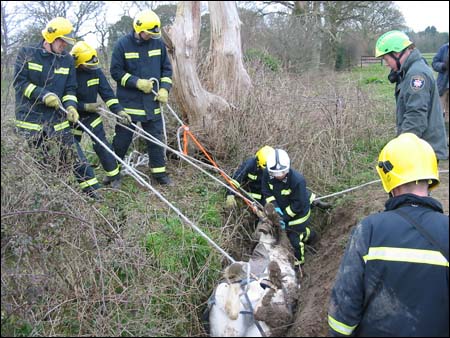 Ropes are put in place to prevent Merlin from struggling
