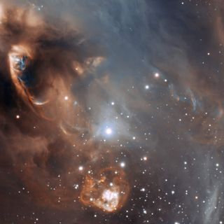 This very detailed false-colour image from ESO’s Very Large Telescope shows the dramatic effects of very young stars on the dust and gas from which they were born in the star-forming region NGC 6729.