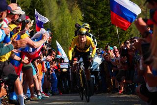 Spectators cheer as Jumbo-Visma's Slovenian rider Primoz Roglic competes on his way to winning stage 20 and take the overall lead of the Giro d'Italia 2023