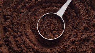 Ground coffee in a scoop.
