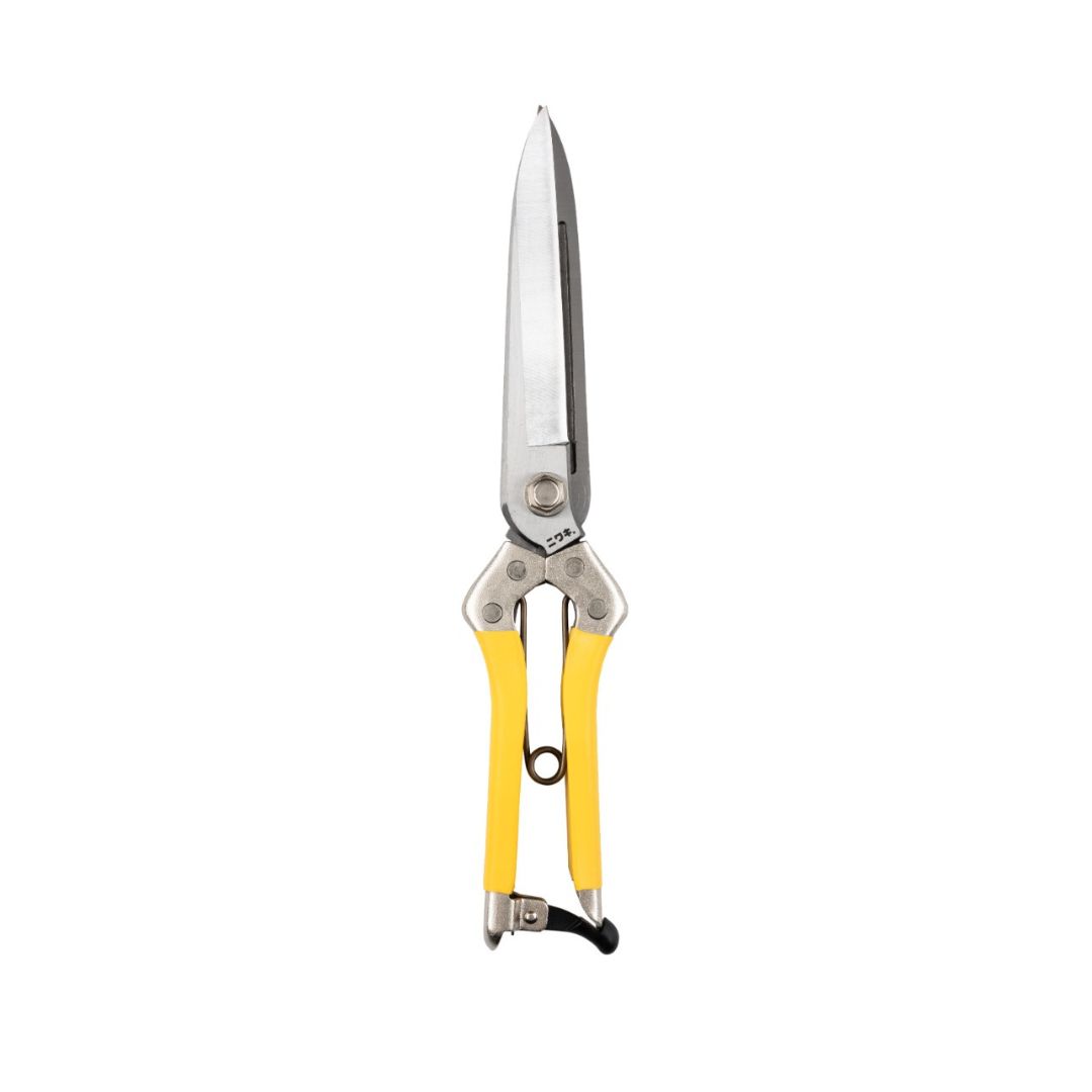 Niwaki, Niwaki Daikiba Clippers