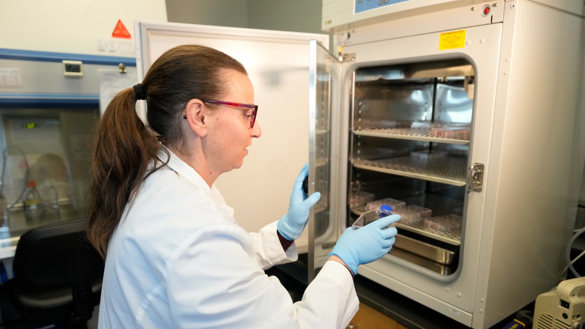 America Losing Scientists Due to Visa Issues