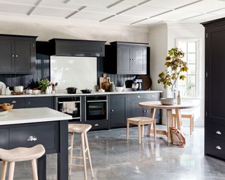 modern kitchen in dark colour scheme with houseplant