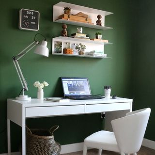 green wall with shelves and laptop on desk