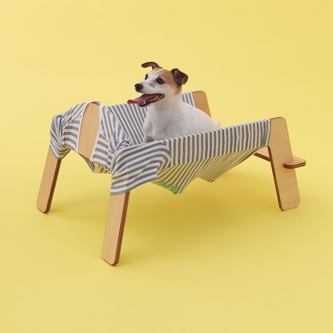 Dog kennel