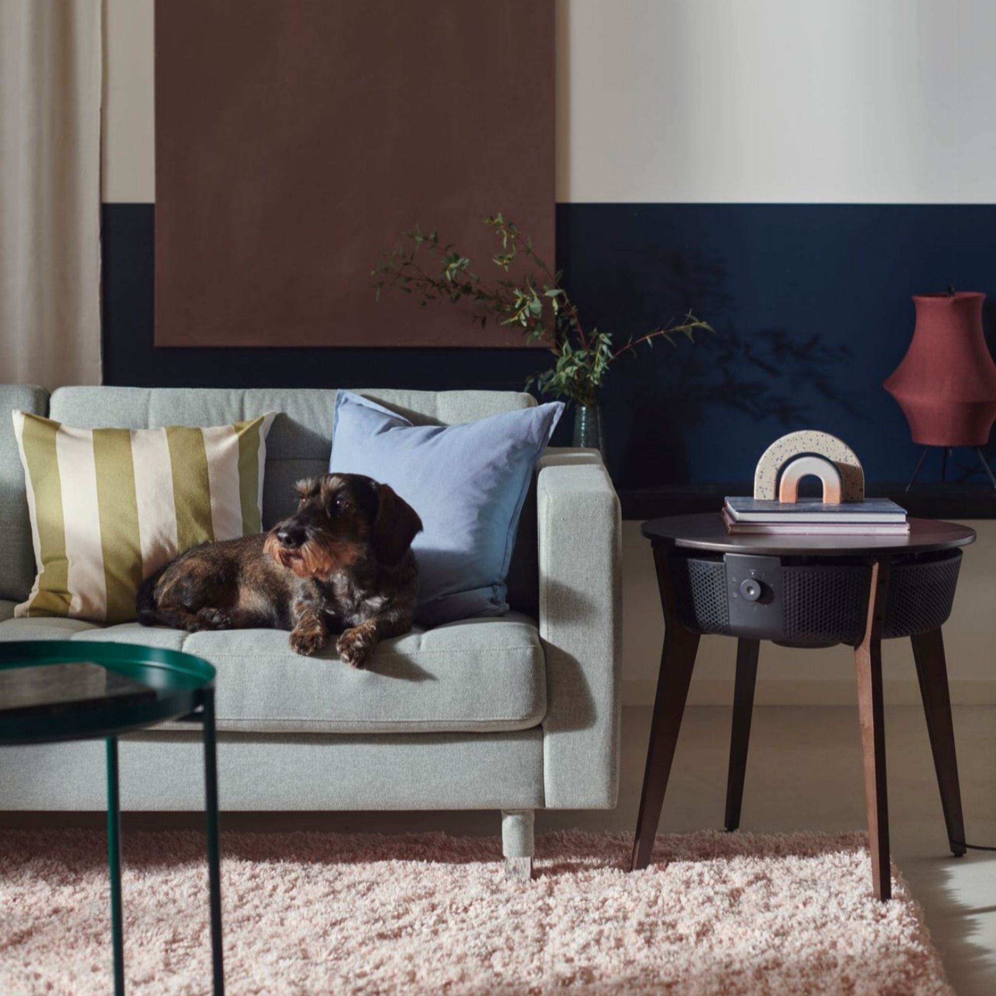 dark brown IKEA air purifier next to a grey sofa with a dog sitting on it