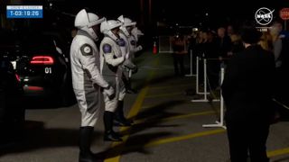 The four astronauts of SpaceX's Crew-8 astronaut mission wave goodbye to friends and family on March 3, 2024 before heading to the launch pad.