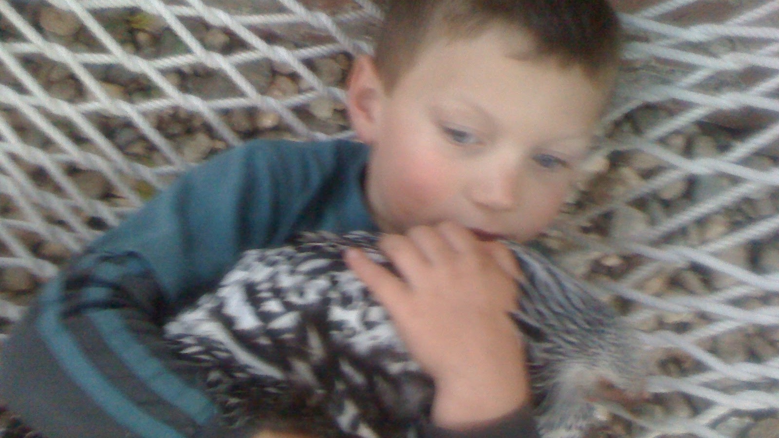 older photos from a google photos library boy with a chicken