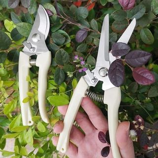 Pruning shears with white handle